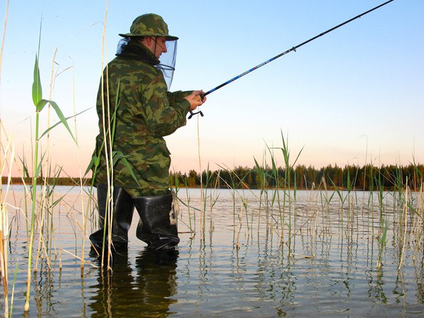 Фестиваль по ловле и приготовлению форели пройдет в Нижегородской области