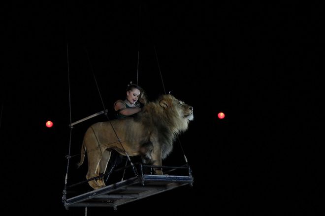 Летающий медведь и &laquo;Колесо смелости&raquo;: нижегородский цирк приглашает в &laquo;Звездный круиз&raquo; (ФОТО) - фото 28