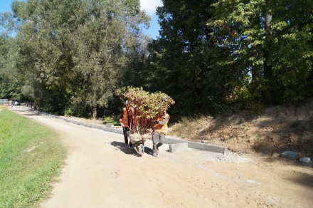 Полторы сотни деревьев и кустарников высадят на Щелоковском хуторе