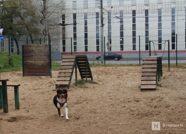 Купеческие дома и наследие 90-х: чем удивляет Гордеевка в Нижнем Новгороде — фоторепортаж - фото 83