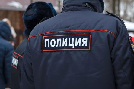 Полиция проверит &laquo;снежный обстрел&raquo; журналистов в Нижнем Новгороде