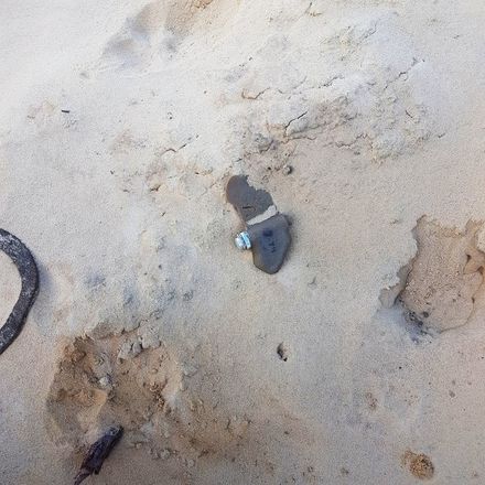 Более 200 противопехотных мин обнаружено в лесу у Торфосклада - фото 2