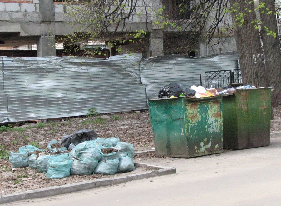 Более 1500 жалоб от нижегородцев на невывоз мусора поступило в Госжилинспекцию - фото 1