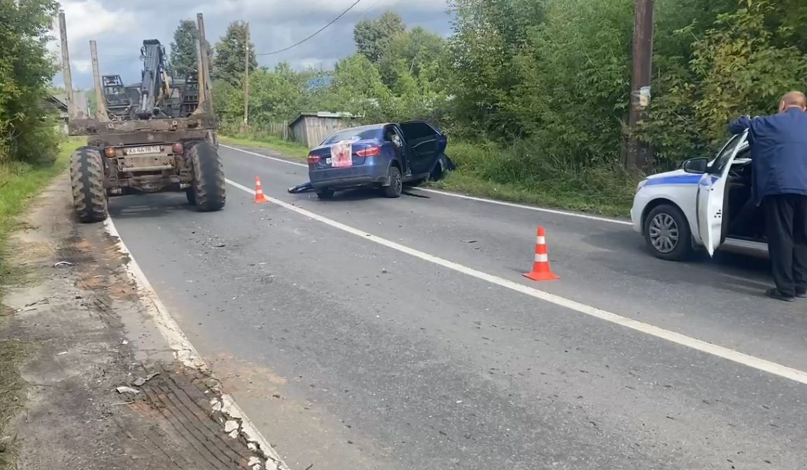 Женщина и подросток пострадали в ДТП с &laquo;ГАЗелью&raquo; в Нижегородской области - фото 1