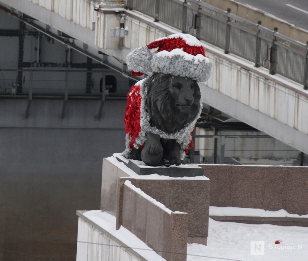 Бобры, костелы и закрытые музеи: плюсы и минусы отдыха в Белоруссии зимой - фото 27
