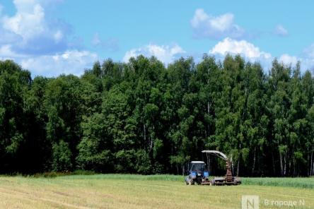 Нижегородским аграриям могут разрешить заправляться на АЗС без очереди