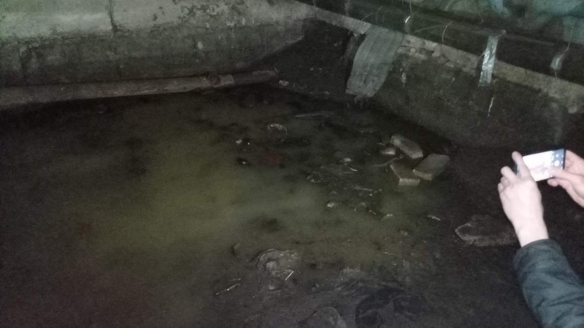 Подвал дома в Канавинском районе затопило канализационными отходами - фото 1