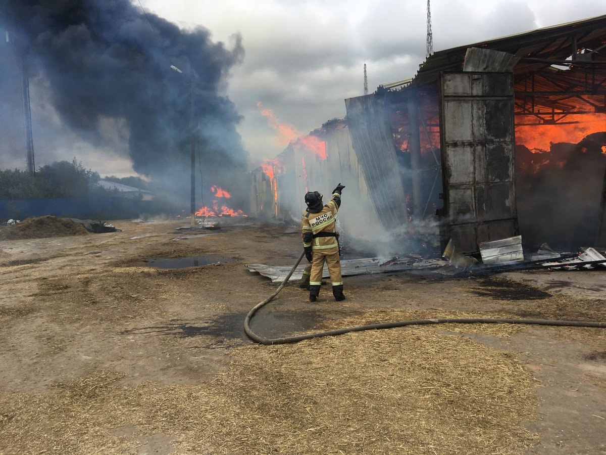 Ангар с сеном сгорел в Кстовском районе - фото 1
