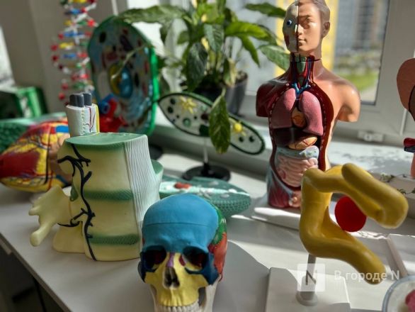 Открытие самой большой школы и массовые обмороки: как прошло 1 сентября в Нижнем Новгороде - фото 33