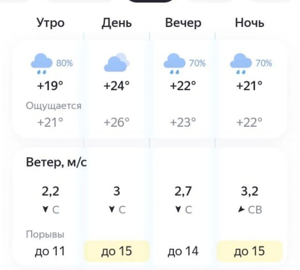 Опубликован прогноз погоды в Нижнем Новгороде на выходные 25—26 июля - фото 3