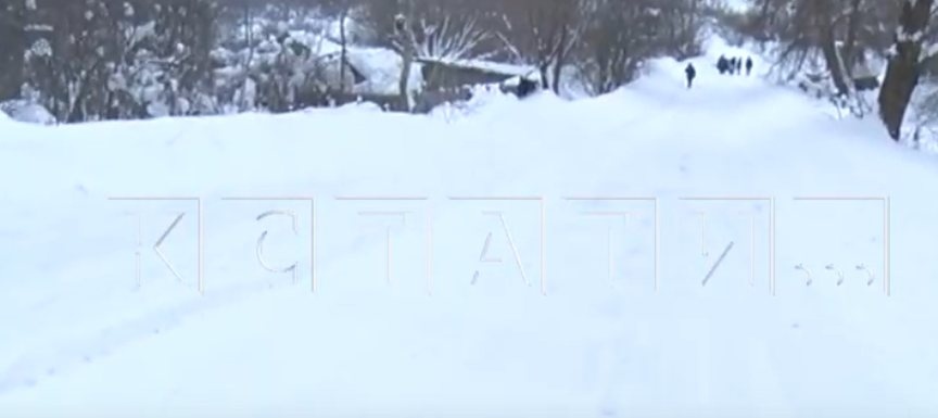Жители деревни в Богородском районе оказались в изоляции из-за снега - фото 1