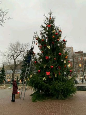 Живую новогоднюю елку на площади Маркина установил НБД-Банк - фото 7