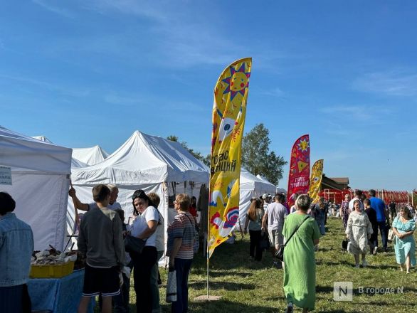 Фестиваль фольклора проходит в Нижегородской области - фото 3