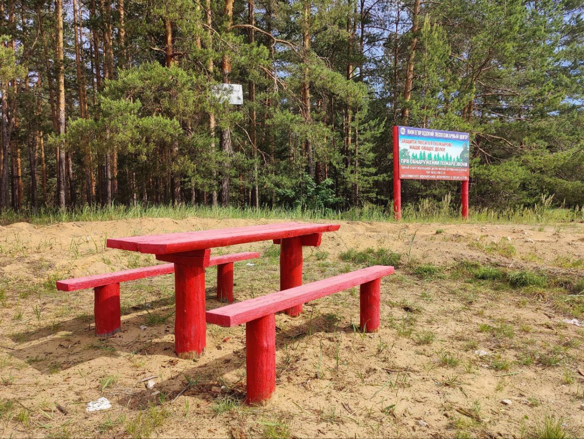 Более трех тысяч зон для отдыха оборудовано в лесах Нижегородской области - фото 1