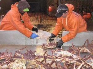 Варианты строительства судов для ловли крабов рассматривают на «Красном Сормове»