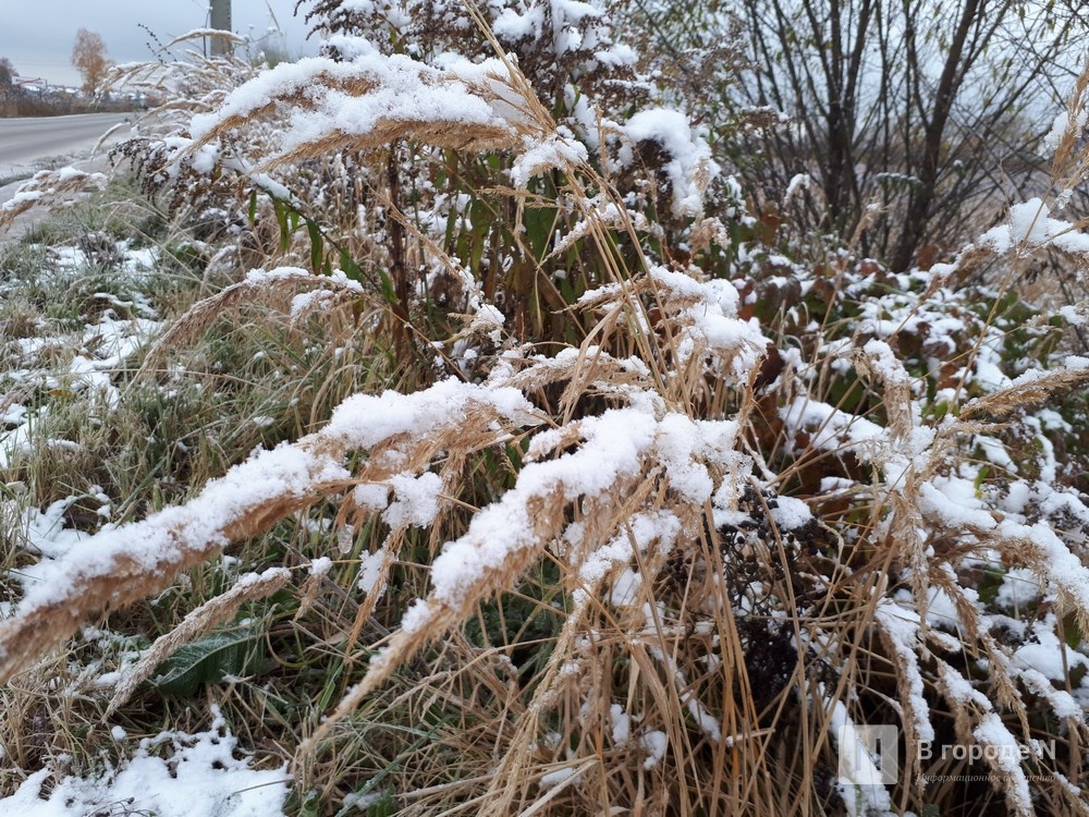 Снег с дождем и похолодание до -6℃ идут в Нижегородскую область - фото 1