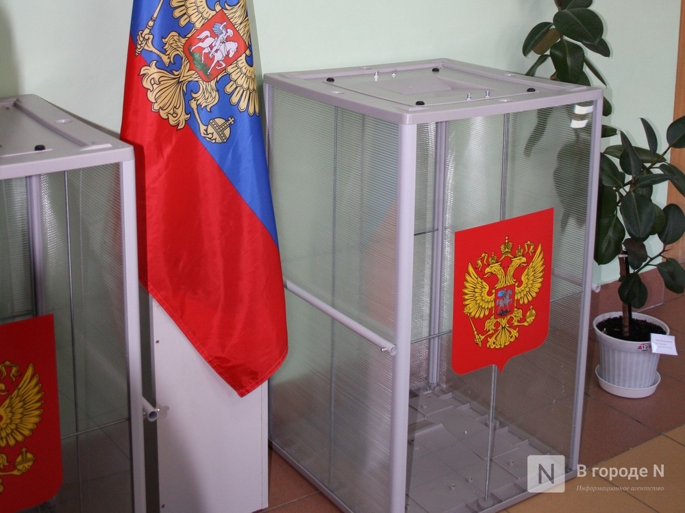 Голосование по Конституции пройдут в Нижегородской области в электронном режиме - фото 1