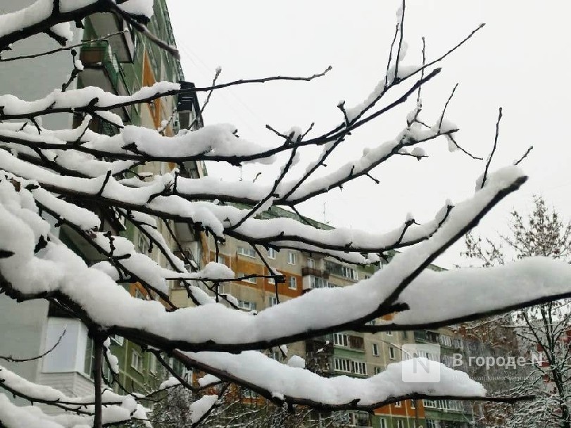 Мороз до &minus;7&deg;С и легкий снег ожидаются в Нижегородской области в выходные - фото 1