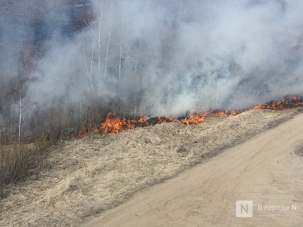 Десять лесных пожаров вспыхнуло в Нижегородской области в 2020 году - фото 1