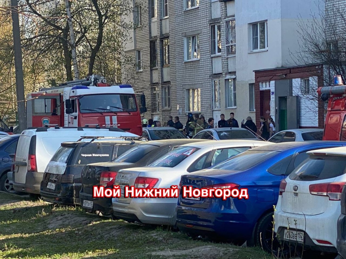 Мигрант пострадал при взрыве аэрозоля от тараканов в Нижнем Новгороде - фото 1