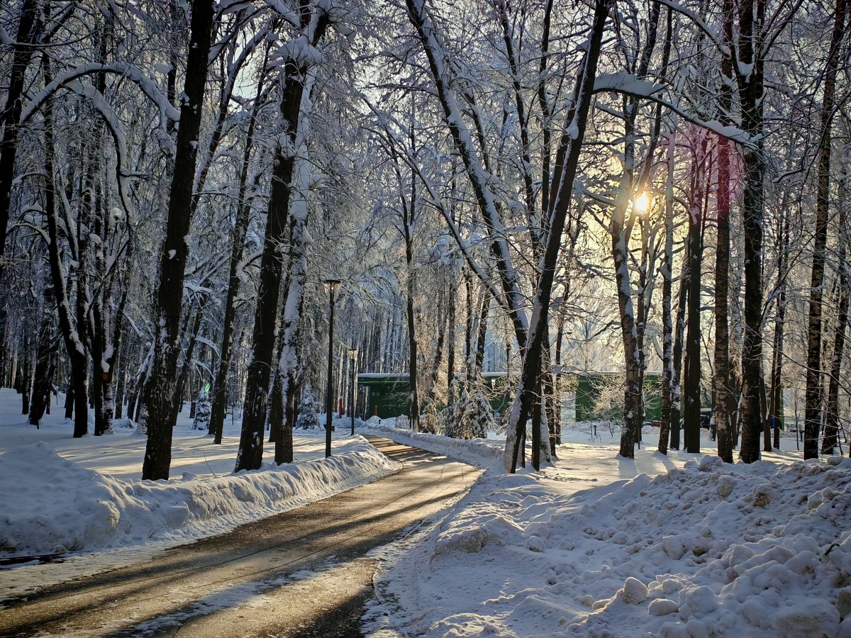 Аномальные морозы в Нижнем Новгороде: фоторепортаж из заснеженных парков - фото 9