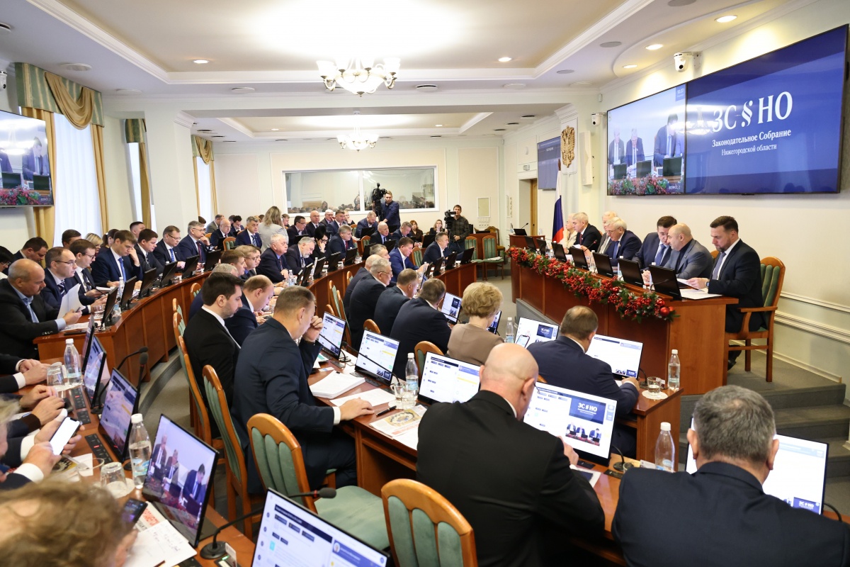 Депутаты ЗСНО обсудили программу нормотворческой деятельности на 2026 год - фото 1