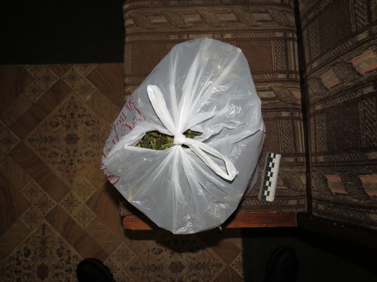 Свыше 300 грамм марихуаны изъяли полицейские у двух володарцев - фото 1