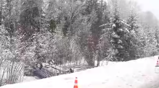 Два пассажира легковушки пострадали в ДТП в Нижегородской области - фото 1