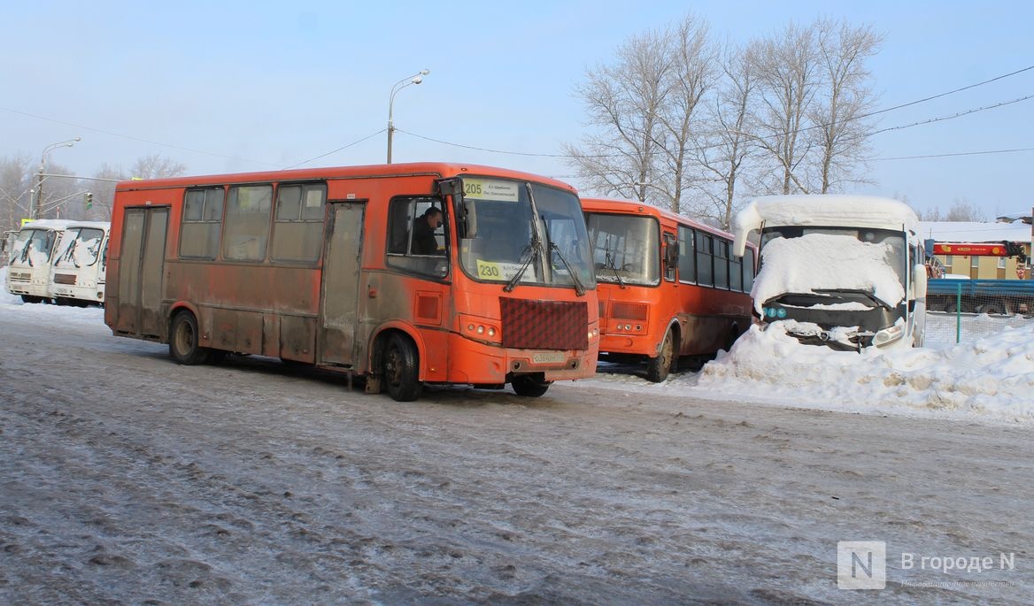 Три новых автобусных маршрута планируют запустить в Нижнем Новгороде - фото 1