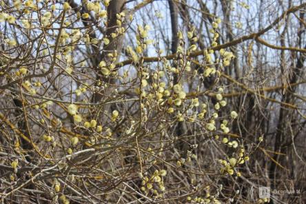 Опубликован прогноз погоды в Нижнем Новгороде на рабочую неделю 10 &mdash; 13 марта