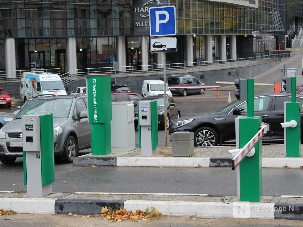 В нижегородской Думе обсудили платные парковки - фото 1