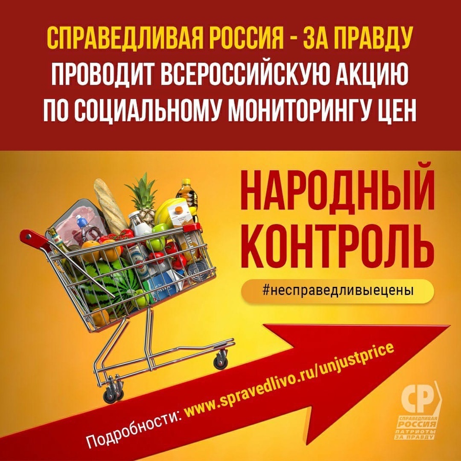 Справедливороссы просят нижегородцев сообщать о повышенных ценах на продукты - фото 1