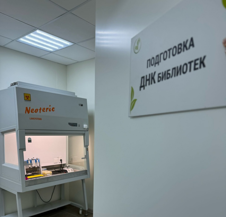 Генетическую лабораторию создали в нижегородском онкодиспансере за 38,5 млн рублей - фото 1