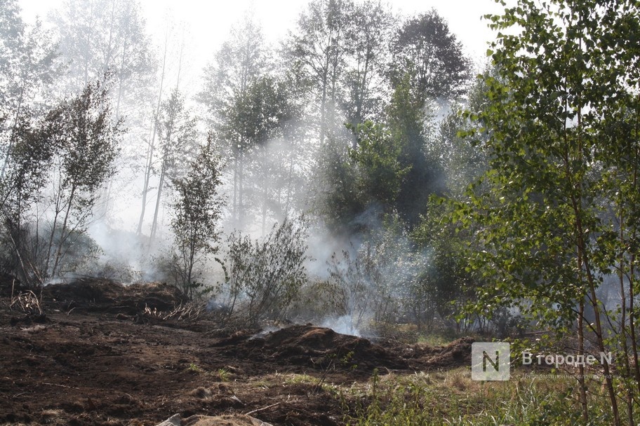 Нижегородский лесной пожар перешел на территорию Марий Эл