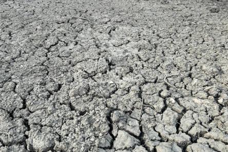 Трещины появились в Сергиевском овраге в Нижнем Новгороде