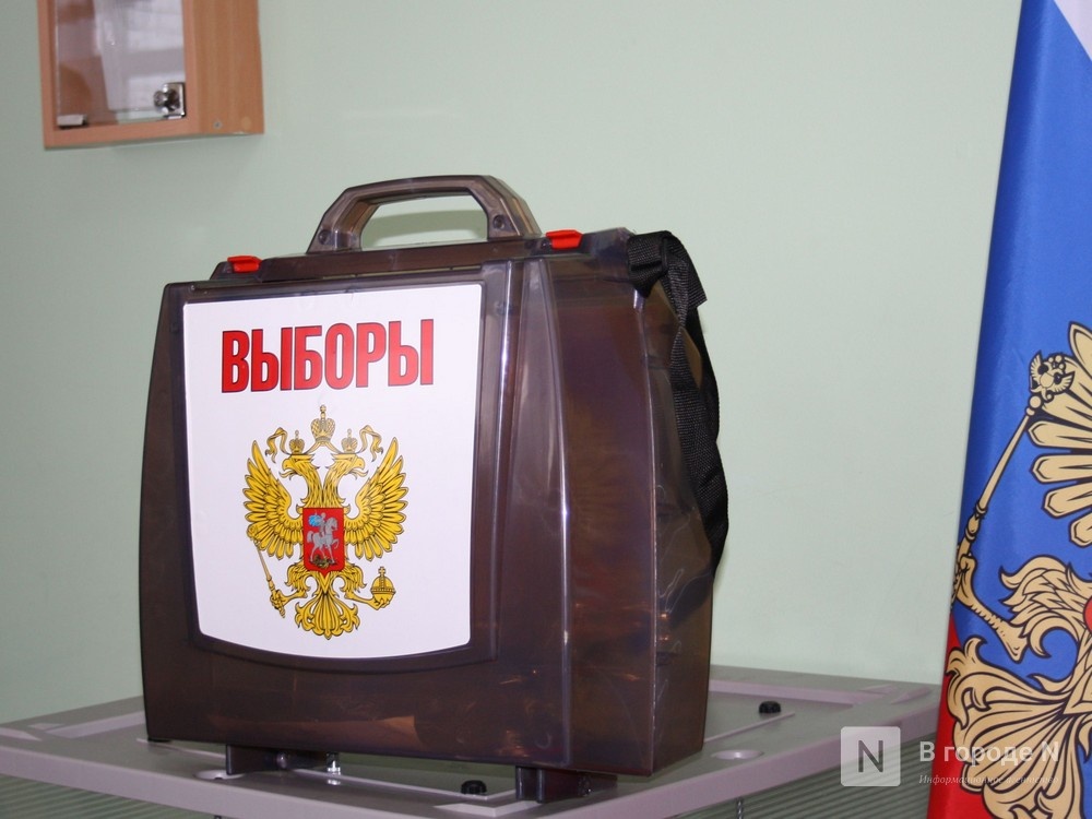 Нижегородские наблюдатели предотвратили попытку провокации на избирательном участке - фото 1