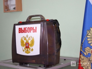 Нижегородские наблюдатели предотвратили попытку провокации на избирательном участке