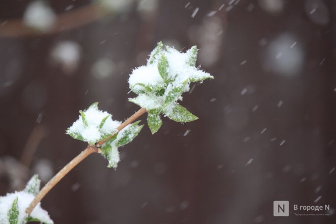 Апрельский апокалипсис в Нижнем Новгороде: фоторепортаж с улиц, заваленных снегом - фото 27