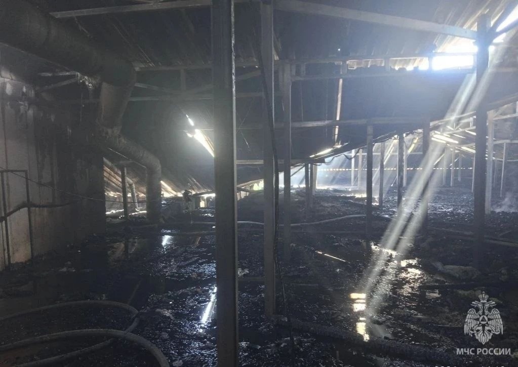 Опубликованы фото пожара на производстве в Нижегородской области - фото 2