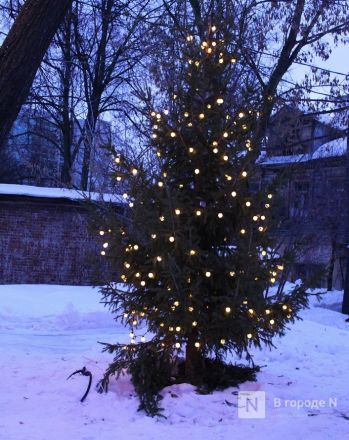 Праздник света и чудес: нижегородцы отметили Рождество в Заповедных кварталах - фото 26