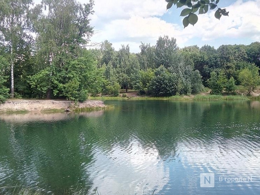 Паразиты атаковали нижегородцев на озере Земснаряд - фото 1