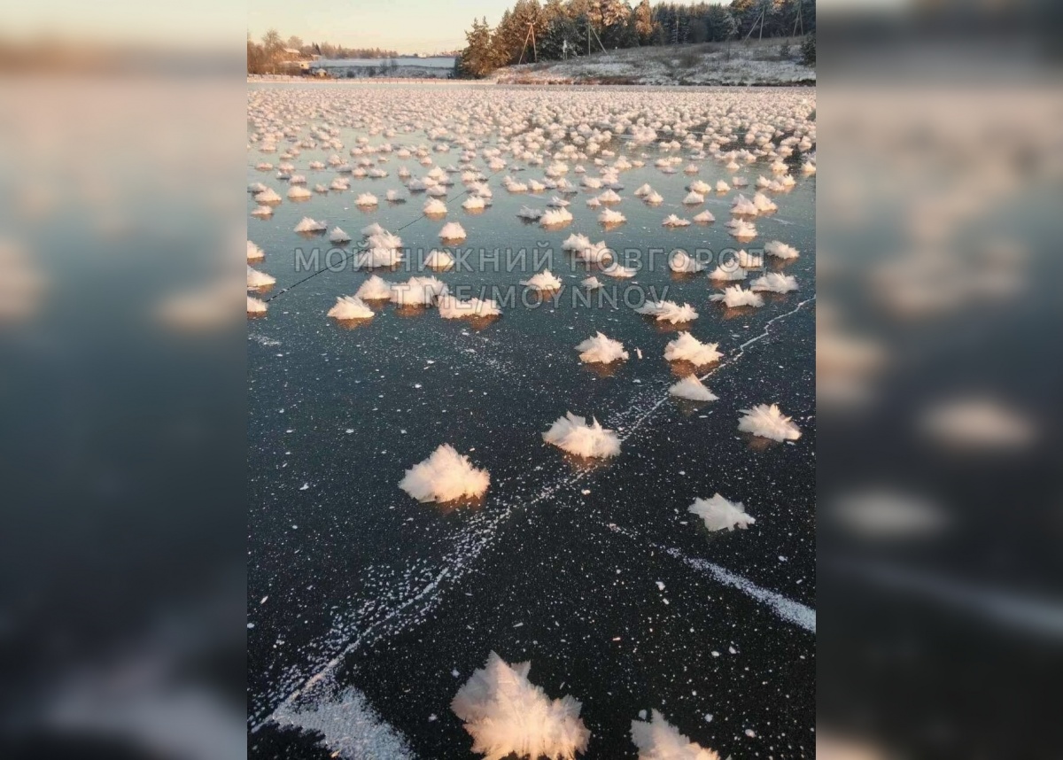 «Ледяные цветы» заметили нижегородцы на реке Кудьме