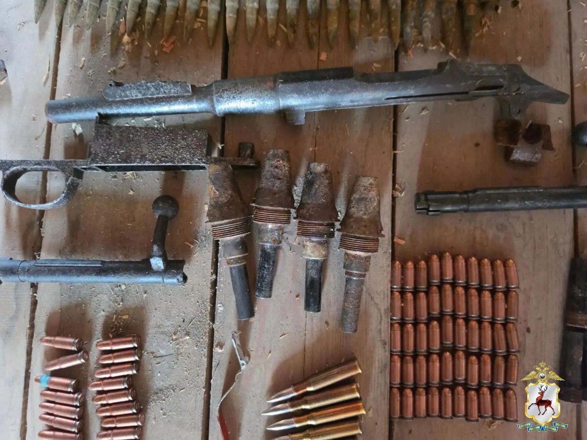 Арсенал оружия и боеприпасов нашли у рецидивиста в Нижегородской области - фото 1