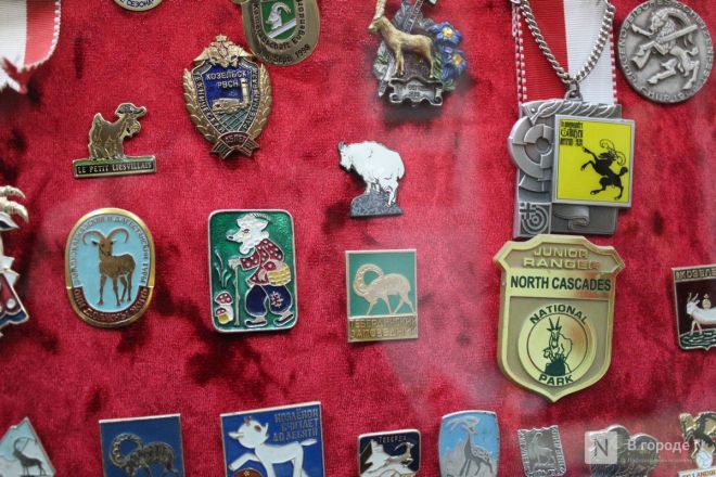 Козлы, мармелад и училище из &laquo;Кадетства&raquo;: нижегородка рассказала небанальном отдыхе в Твери - фото 22