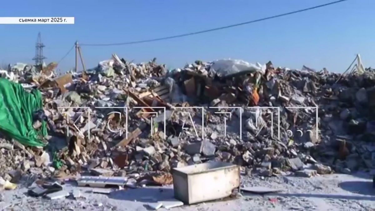 Бастрыкин потребовал доклад по делу о незаконной свалке в Нижнем Новгороде - фото 1