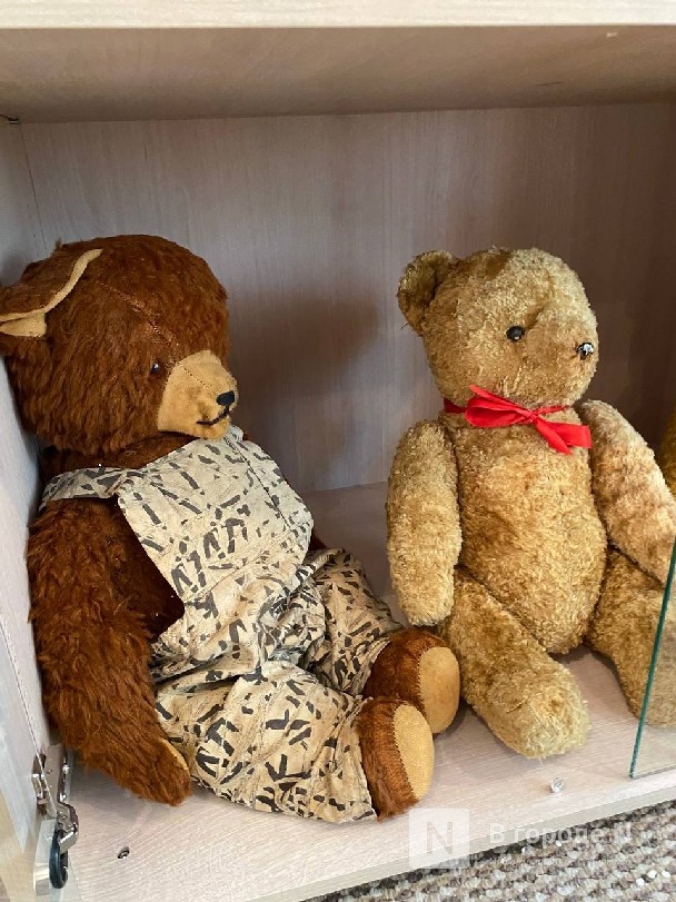Любимая игрушка детства: выставка плюшевых мишек откроется в Нижнем Новгороде - фото 2