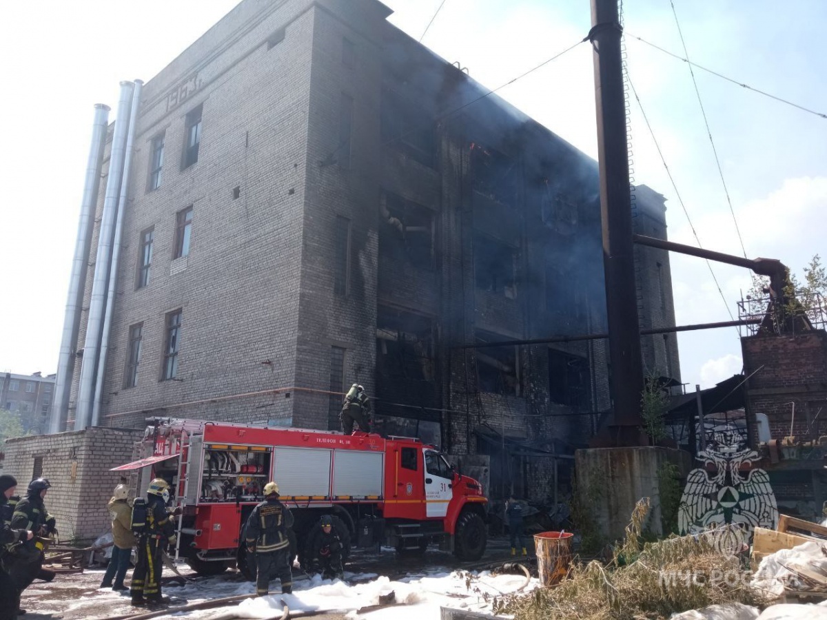 Озвучены подробности крупного пожара на Московском шоссе в Нижнем Новгороде - фото 1