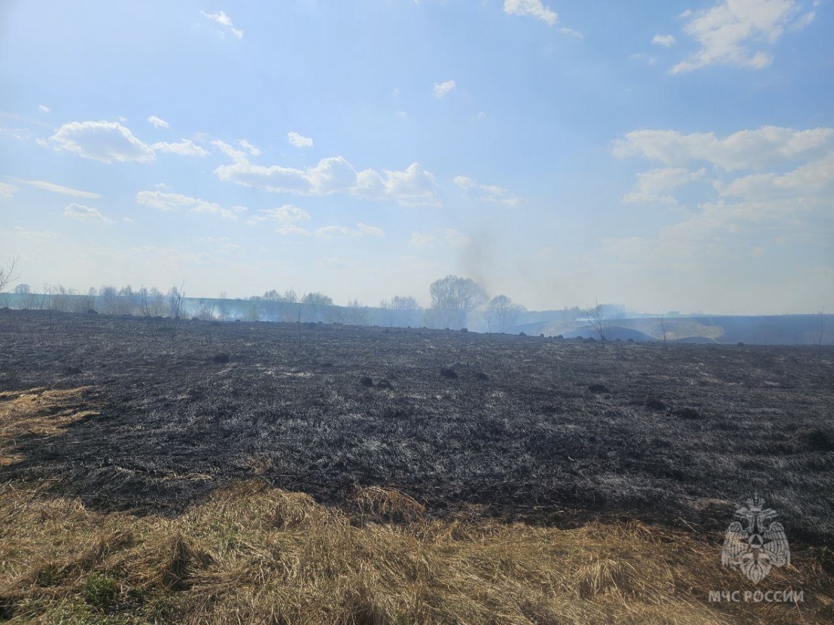 Еще два возгорания сухой травы произошли в Нижегородской области 20 апреля - фото 1