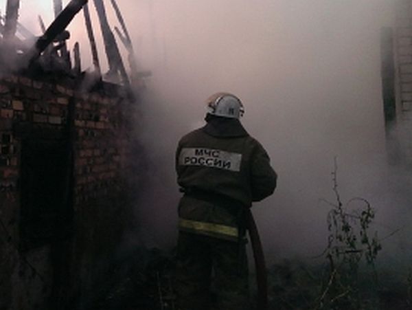 Автомобиль и гараж сгорели в Лукояновском районе - фото 1