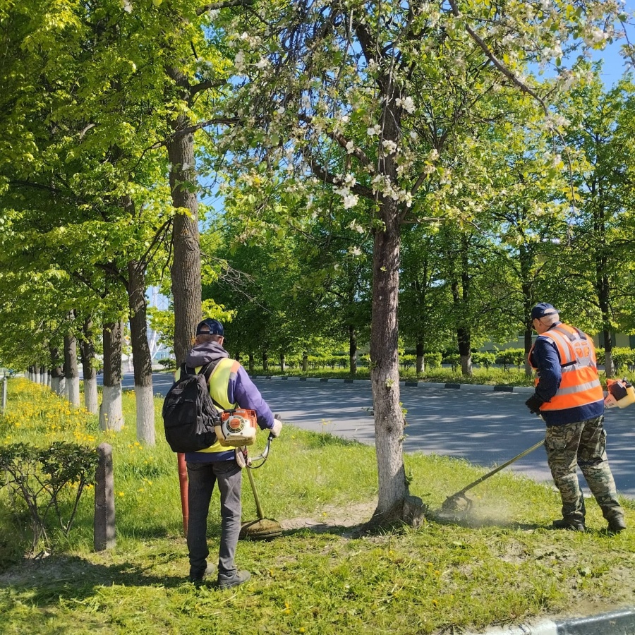 Сезон летнего ухода за зелеными насаждениями начался в Дзержинске - фото 1
